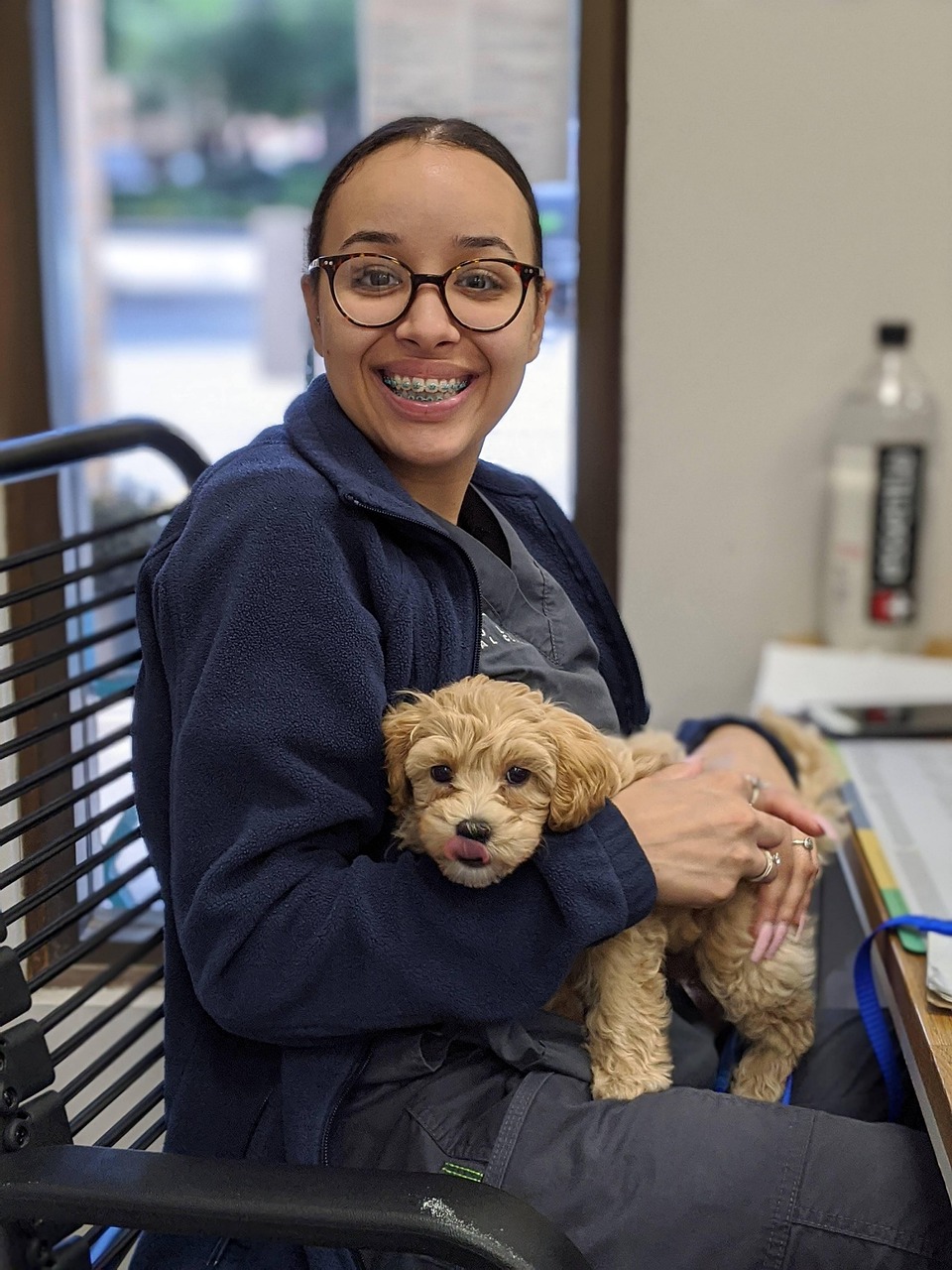 dog-5969008_1280 vet clinic